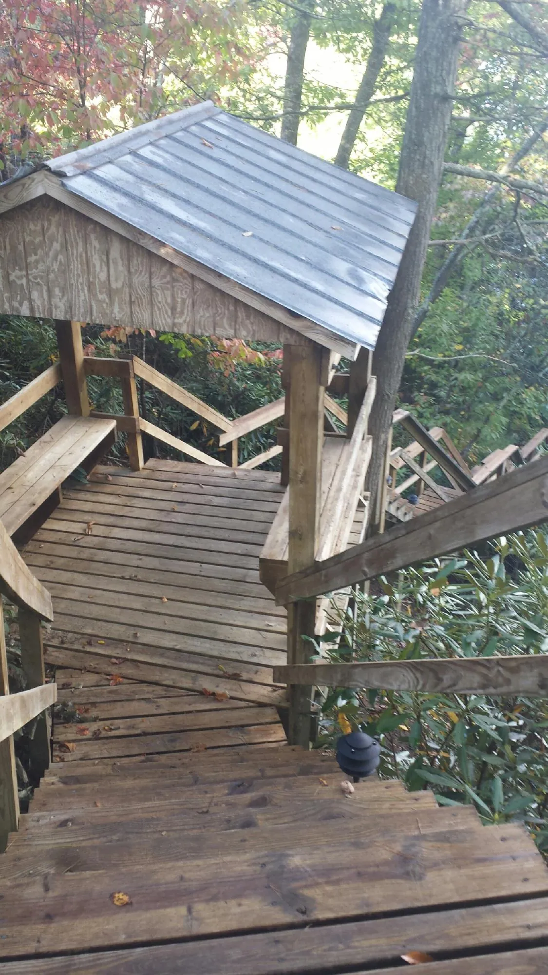 Metal roofed shelter over wooden steps on a wooded walkway — Skylight Repair & Installation work by our crew in Morehead