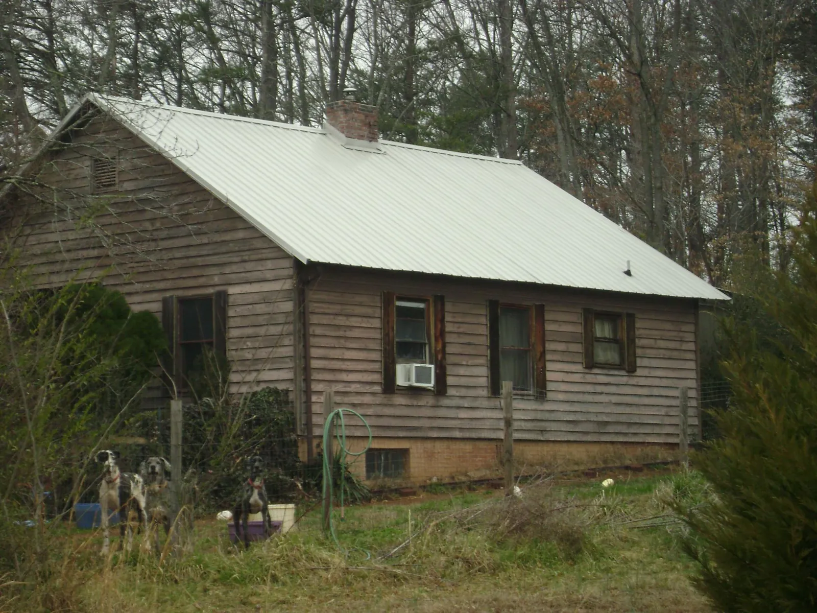 White metal roof on an old wood sided farmhouse, from a Asphalt Shingle Roof Repair job in Morehead
